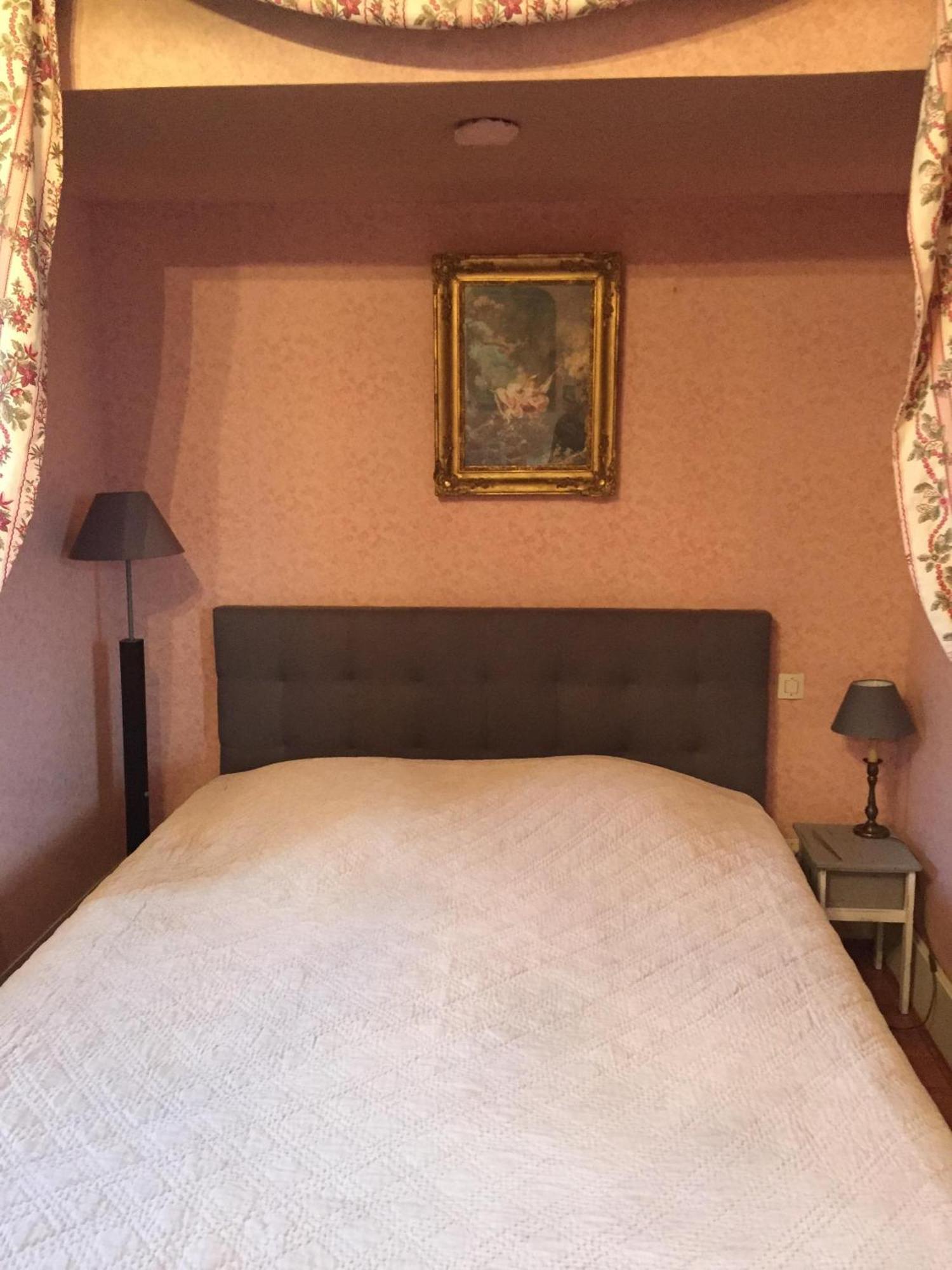 Chateau De Pintray Lussault-sur-Loire Room photo